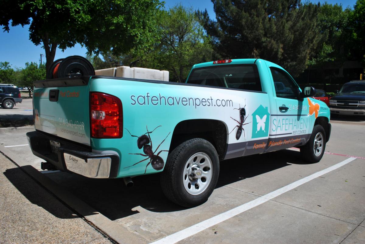 As Pragas Estão Destruindo Sua Moradia? Pare Prontamente! 1